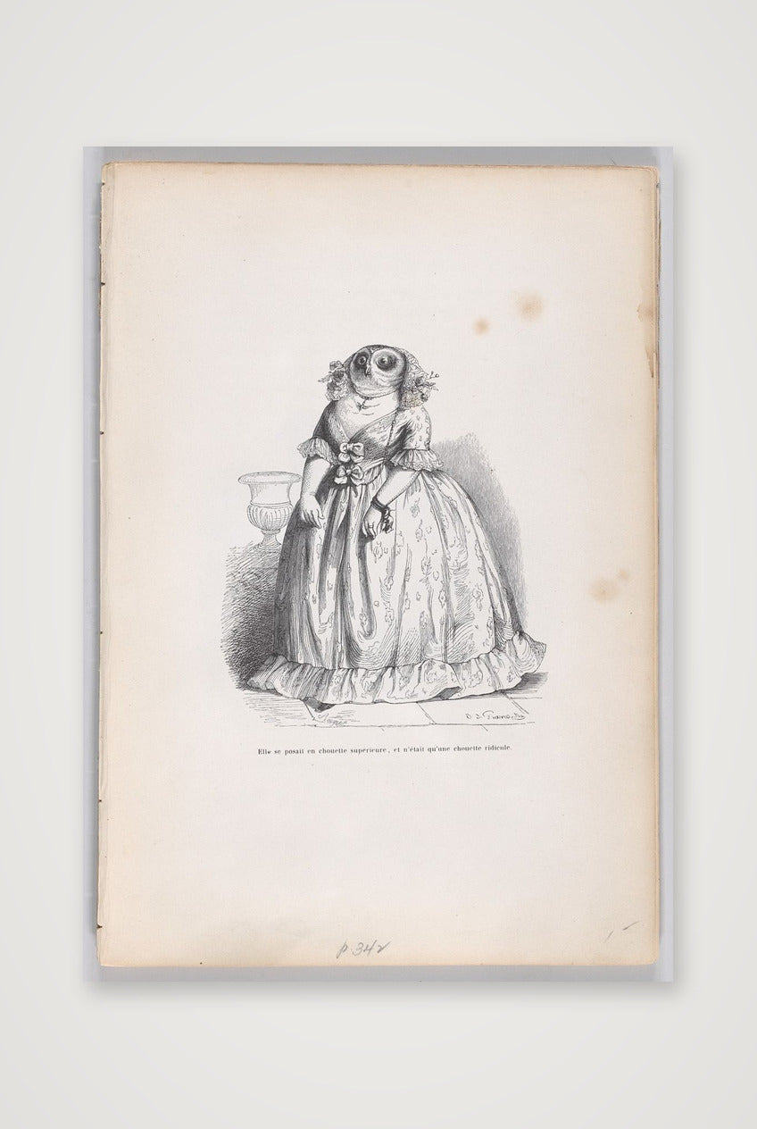 Jean-Jacques Grandville: Eulenfrau, 1837/47 — A3 (30×42cm, 12×17") Print only
