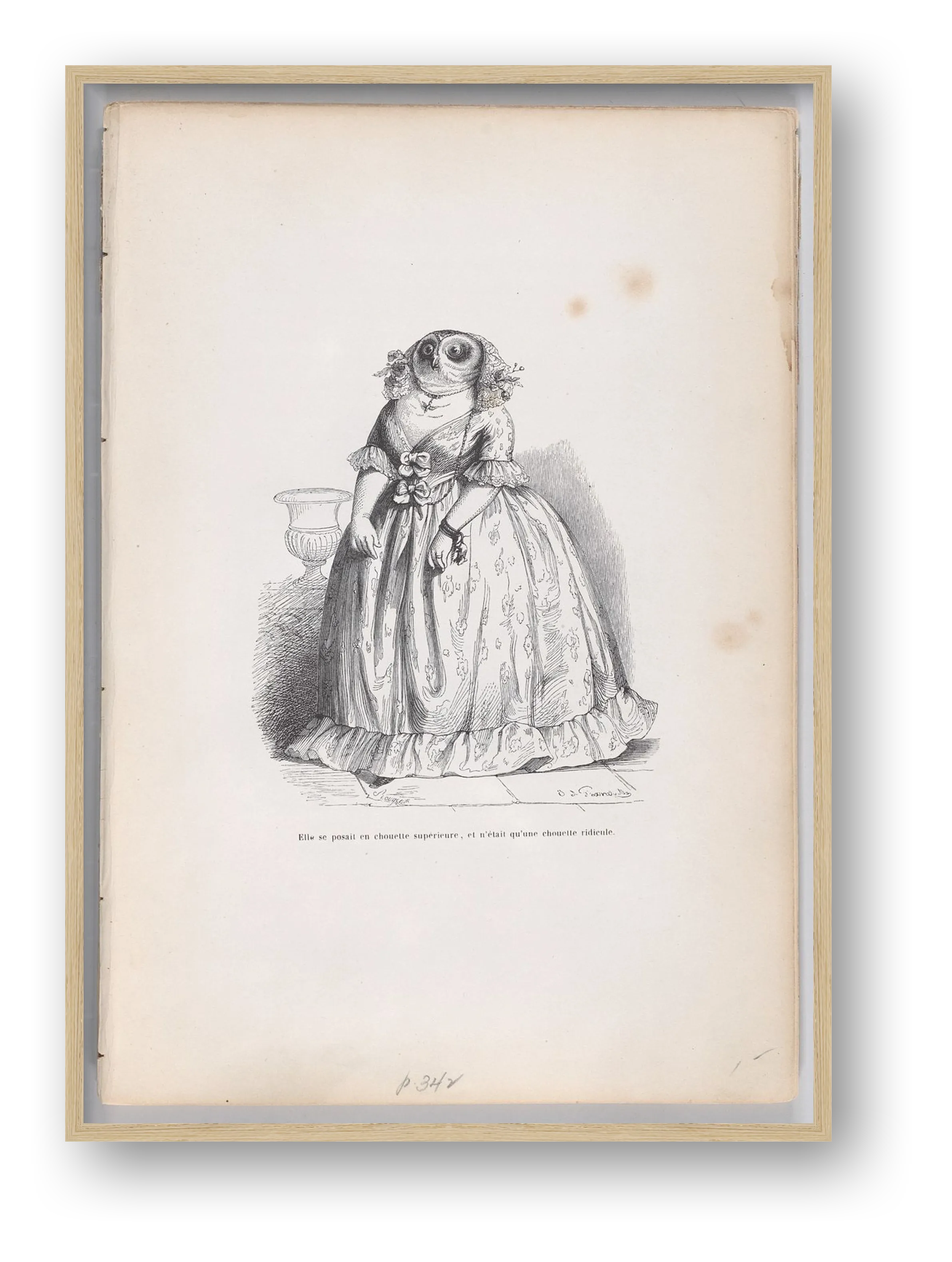 Jean-Jacques Grandville: Eulenfrau, 1837/47 — framed