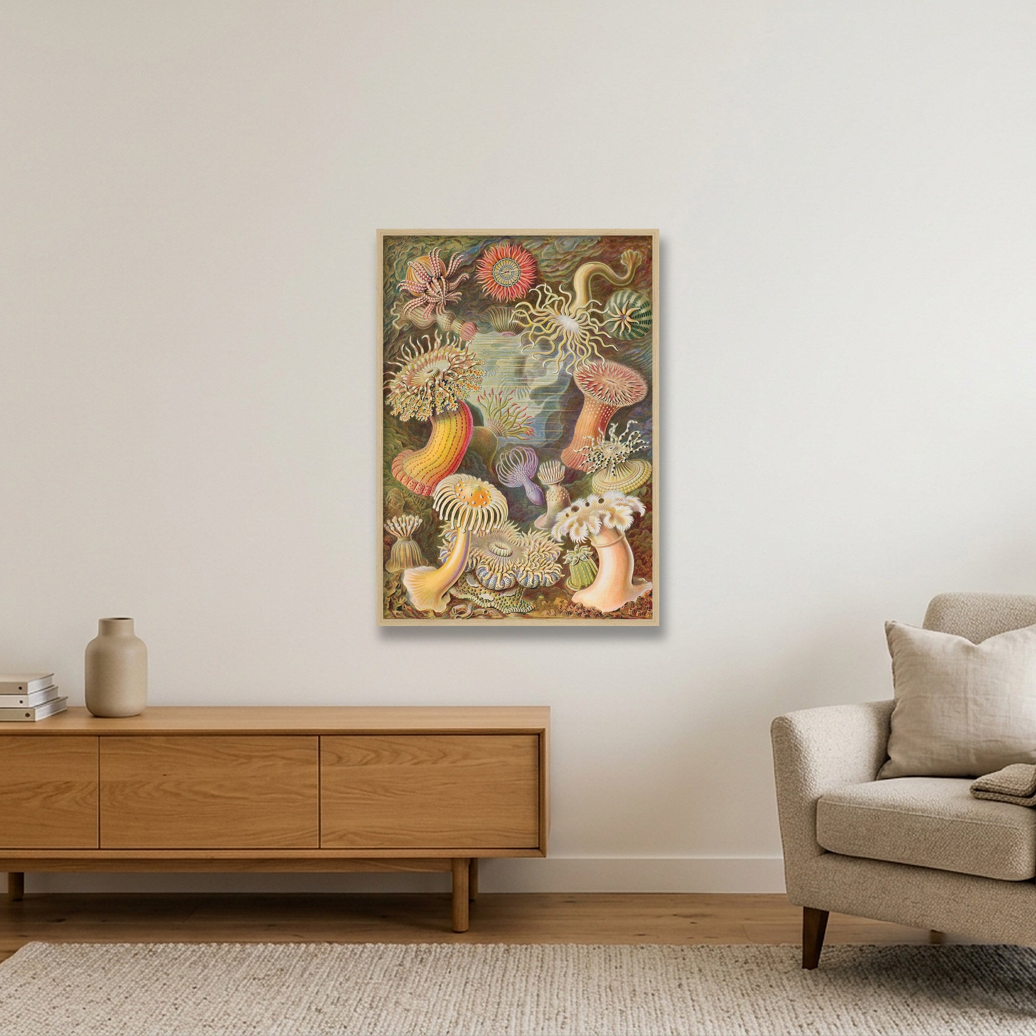 Ernst Haeckel: "Seeanemonen, Actiniae", 1899 — 59×84cm, 23×33" Oak Frame