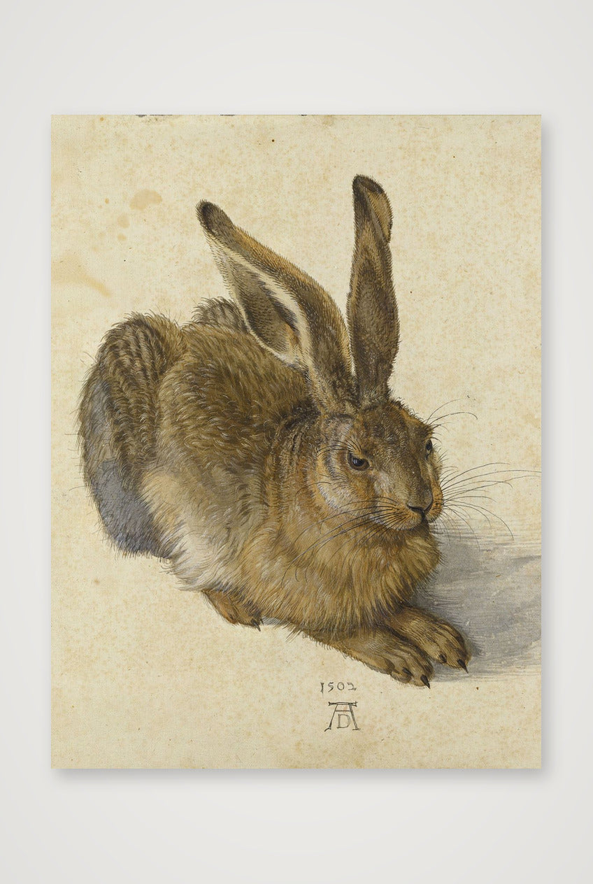  Albrecht Dürer: Feldhase, 1502 — 60×80cm, 24×31" Print only