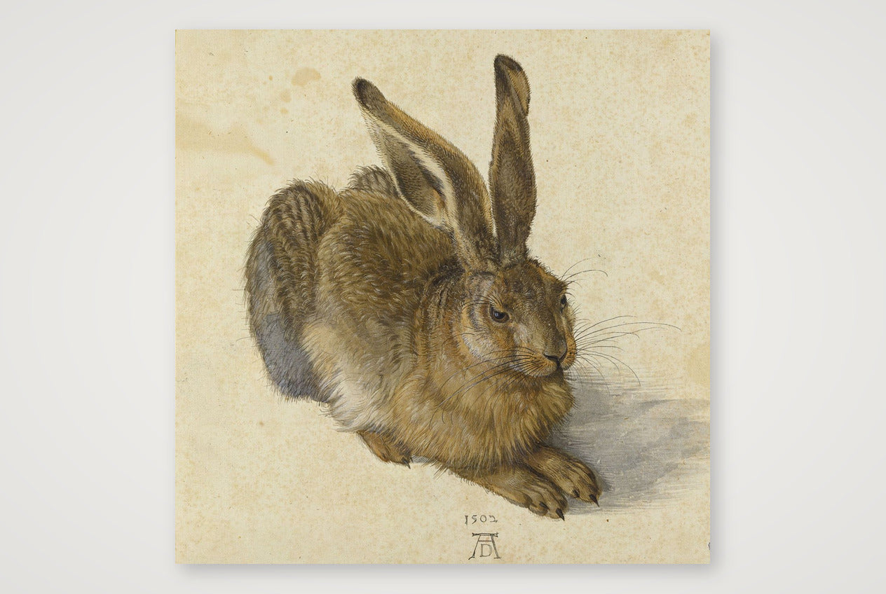  Albrecht Dürer: Feldhase, 1502 — 40×40cm, 16×16" Print only