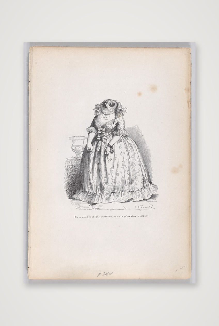 Jean-Jacques Grandville: Eulenfrau, 1837/47 — 42×59cm, 17×23" Print only