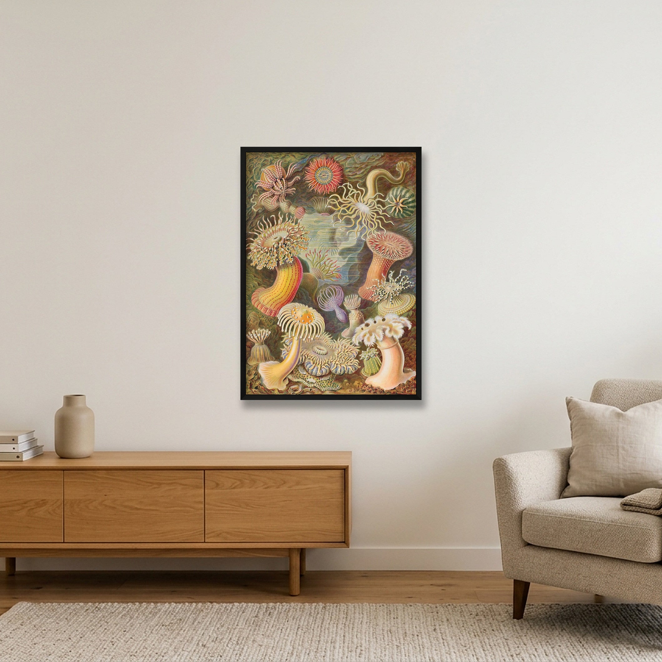Ernst Haeckel: "Seeanemonen, Actiniae", 1899 — 59×84cm, 23×33" Black Frame