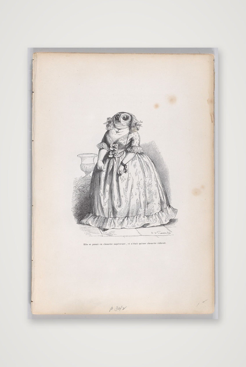 Jean-Jacques Grandville: Eulenfrau, 1837/47 — 59×84cm, 23×33" Print only