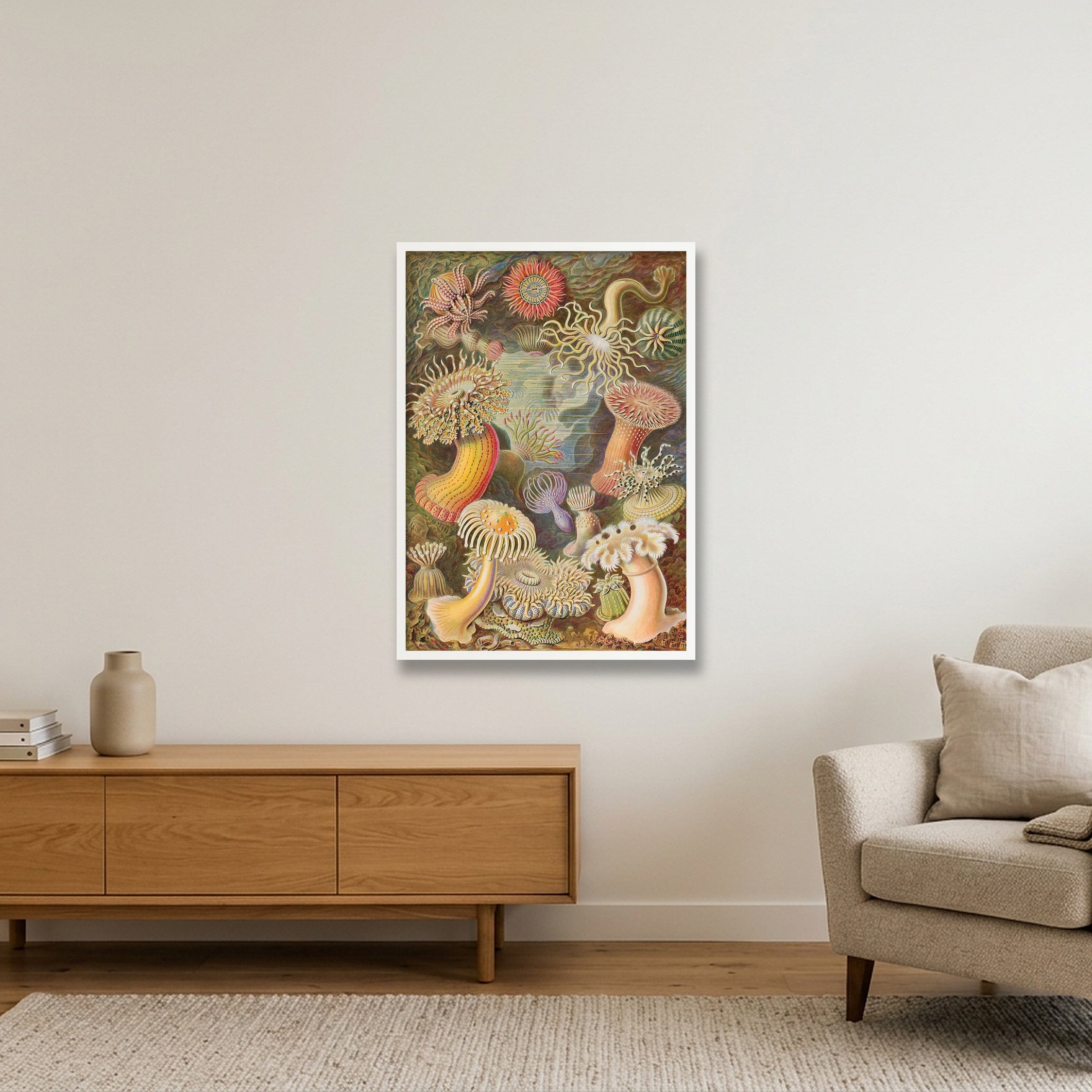 Ernst Haeckel: "Seeanemonen, Actiniae", 1899 — 59×84cm, 23×33" White Frame